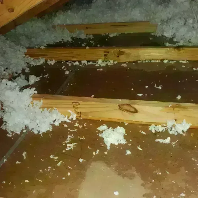 Attic Water Damage in Biola, CA